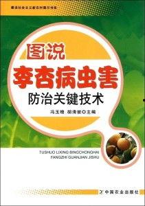 李杏图片,探寻东方美人的独特韵味